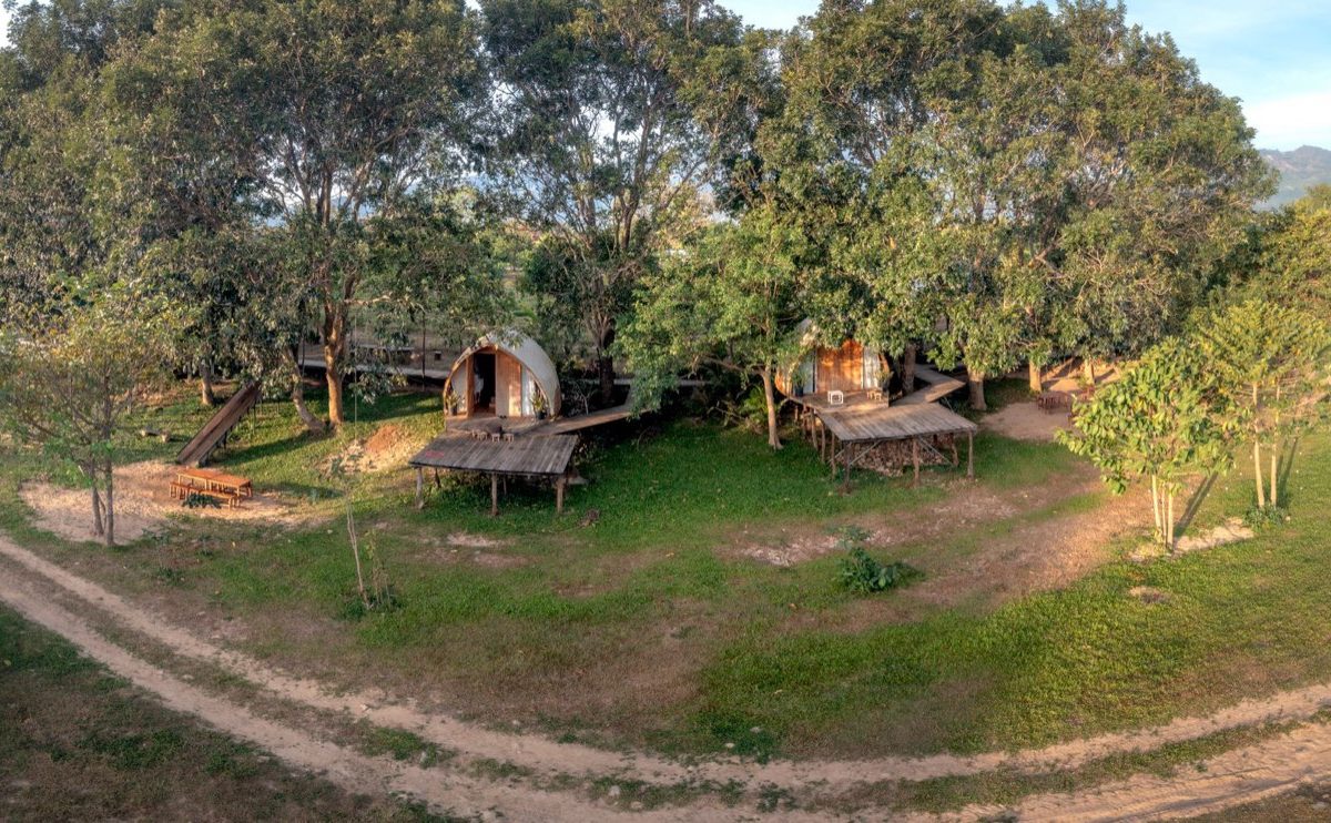 Treehotel Laponie : avis pour couples et voyageurs seuls