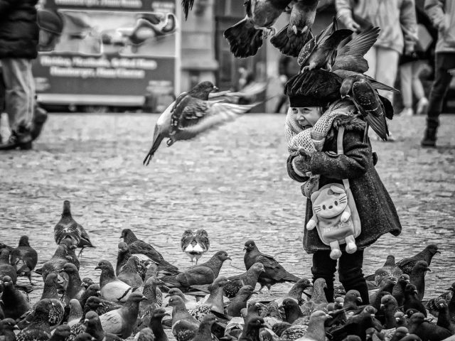 Villes d’Europe pour rencontres locales et sorties communautaires